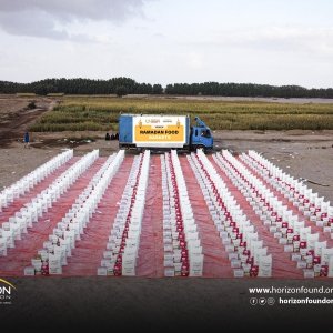 Emergency Food Assistance Projects